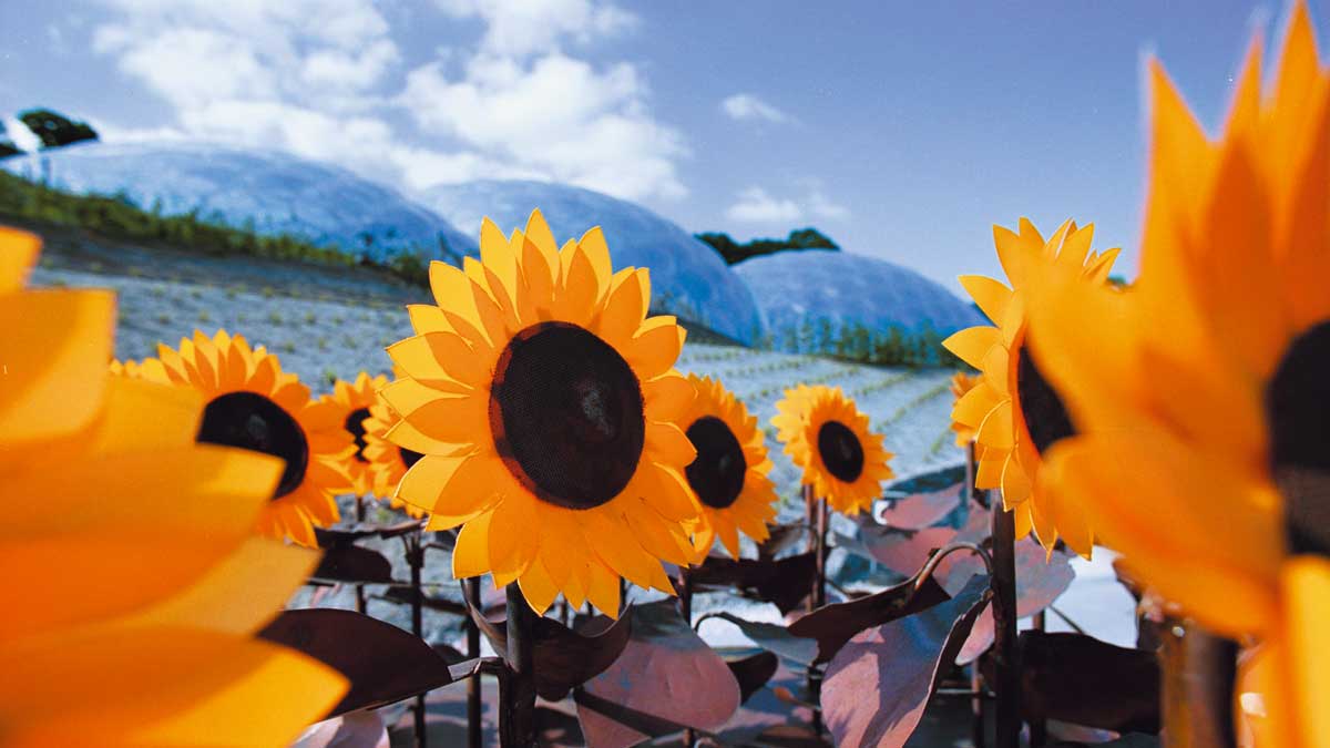 The Eden Project Cornwall